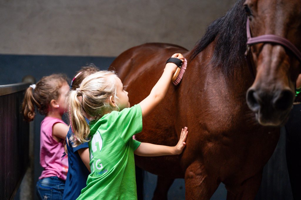 Manege in Wijchen voor kinderen, verzorgen pony