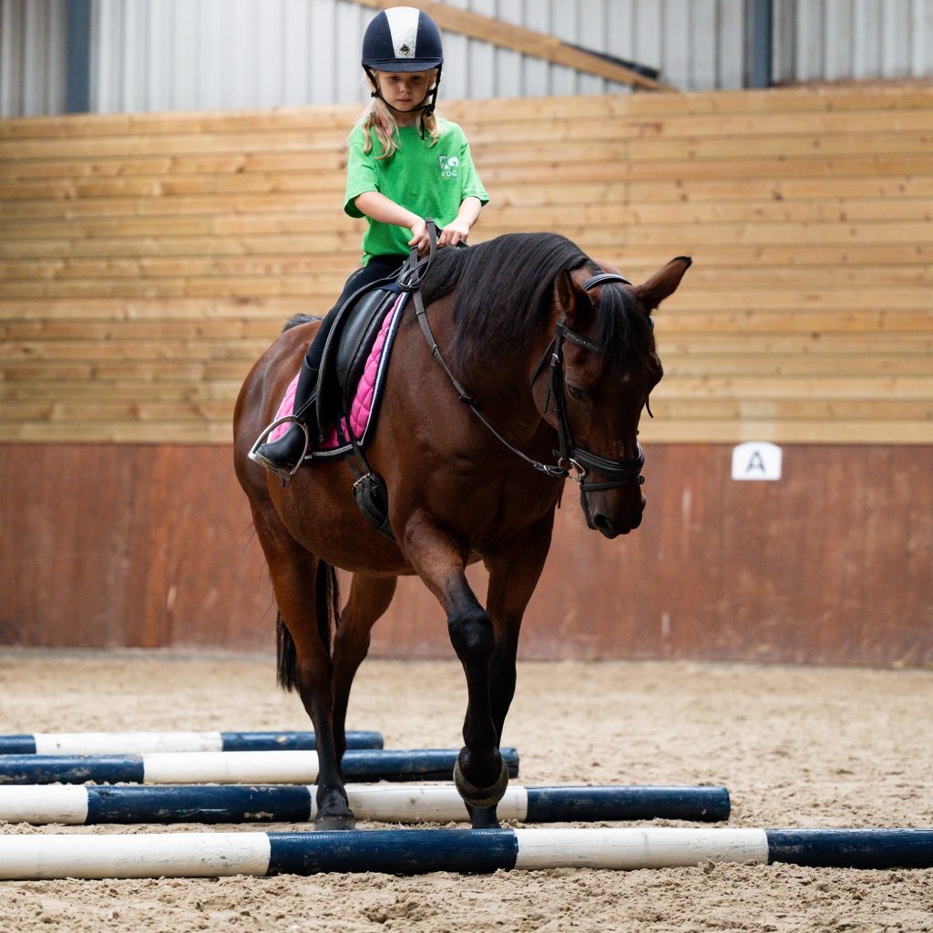 Manege in Wijchen voor lessen pony rijden voor kinderen, ook wedstrijden